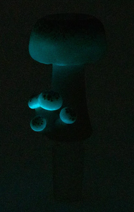 Empire Glassworks Mushroom Bowl Piece