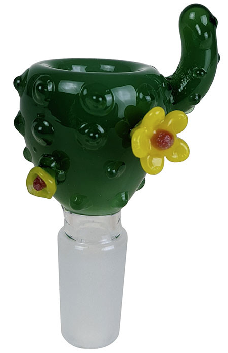 BSG - Cactus Bowl