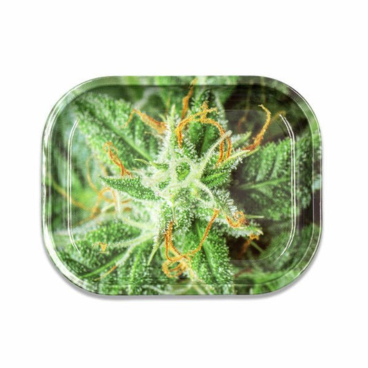 Small Rolling Trays with Unique Designs: V Syndicate offers compact and durable rolling trays in a variety of eye-catching designs, including White Rabbit, AK-47, and Alic Mushrooms, perfect for adding a touch of personality to your rolling sessions.