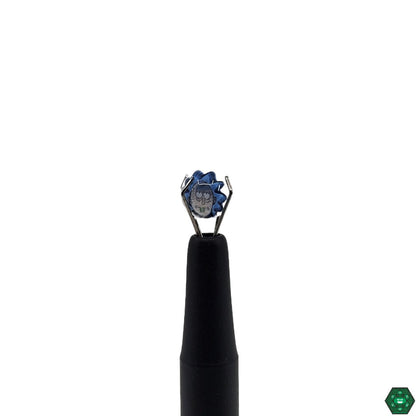 Ryan McCluer - Terp Pearls - @Ryan_mccluer - HG