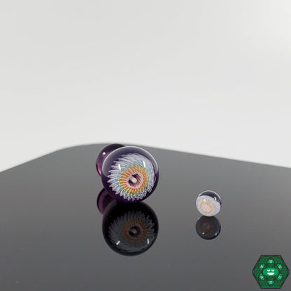 Steve H Glass - Artist Series Pro Plugs - @Stevehglass - HG